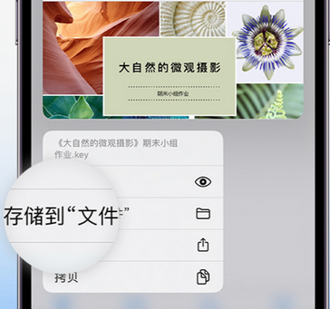 陆川apple维修中心分享iPhone文件应用中存储和找到下载文件