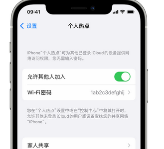 陆川apple服务站点分享iPhone上个人热点丢失了怎么办 