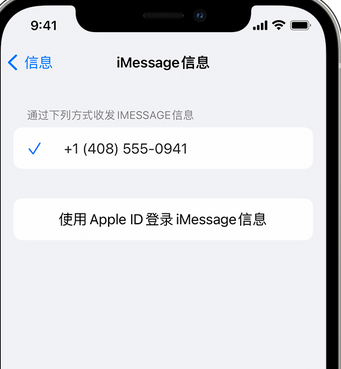 陆川apple维修iPhone上无法正常发送iMessage信息 