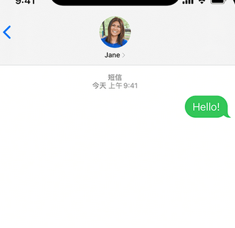 陆川apple维修iPhone上无法正常发送iMessage信息