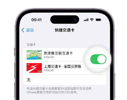 陆川apple维修点分享iPhone上更换Apple Pay快捷交通卡手绘卡面 