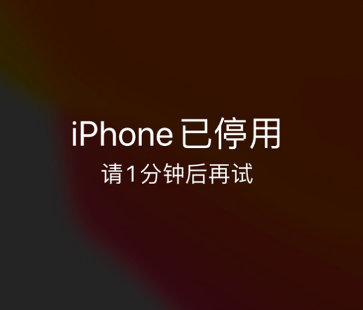 陆川苹果手机维修分享:iPhone 显示“不可用”或“已停用”怎么办？还能保留数据吗？ 