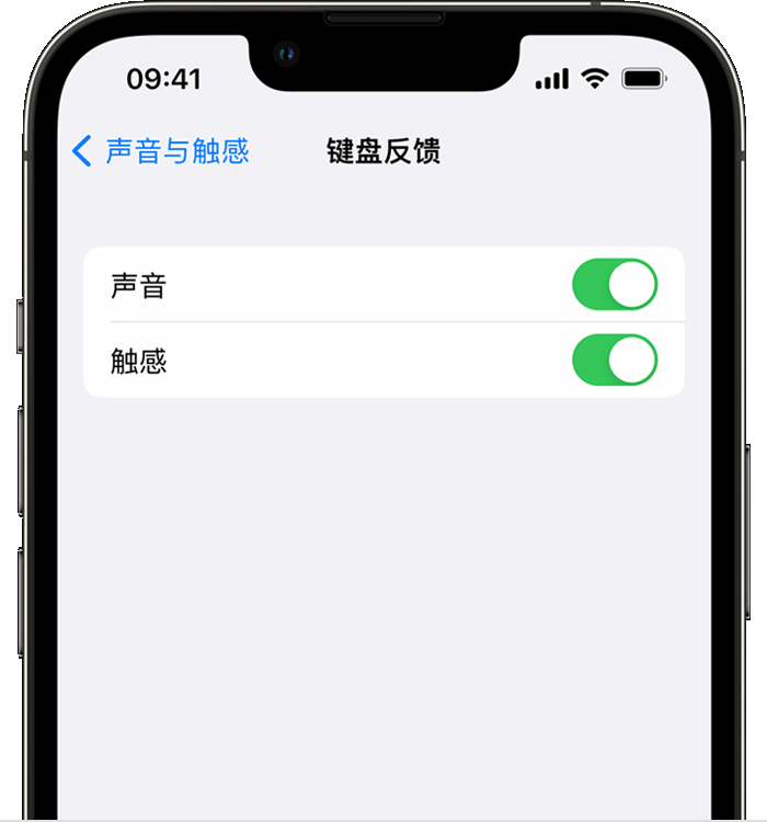 陆川苹果14维修店分享如何在 iPhone 14 机型中使用触感键盘 