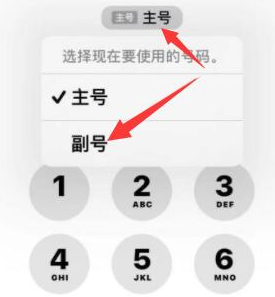 陆川苹果14维修店分享iPhone 14 Pro Max使用副卡打电话的方法 