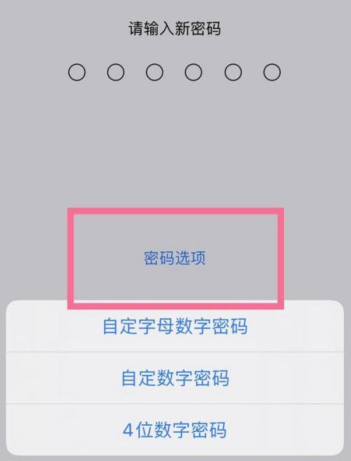 陆川苹果14维修分享iPhone 14plus设置密码的方法 