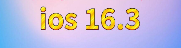 陆川苹果服务网点分享苹果iOS16.3升级反馈汇总 