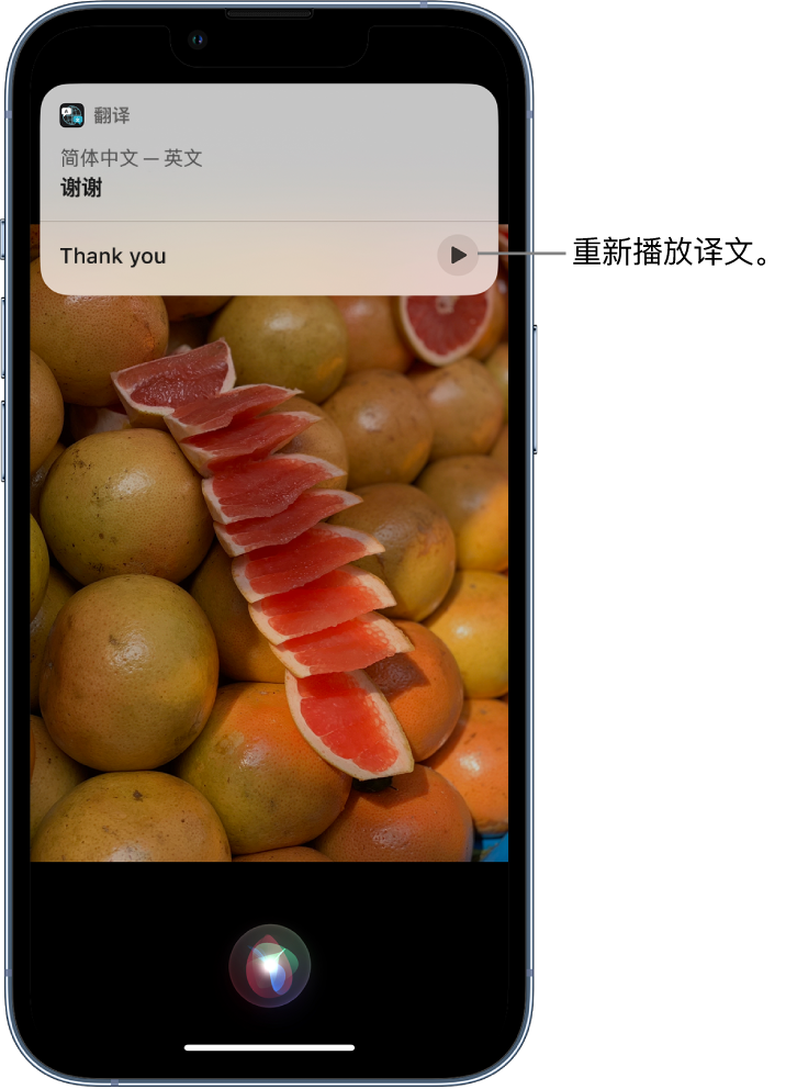 陆川苹果14维修分享 iPhone 14 机型中使用 Siri：了解 Siri 能帮你做什么 