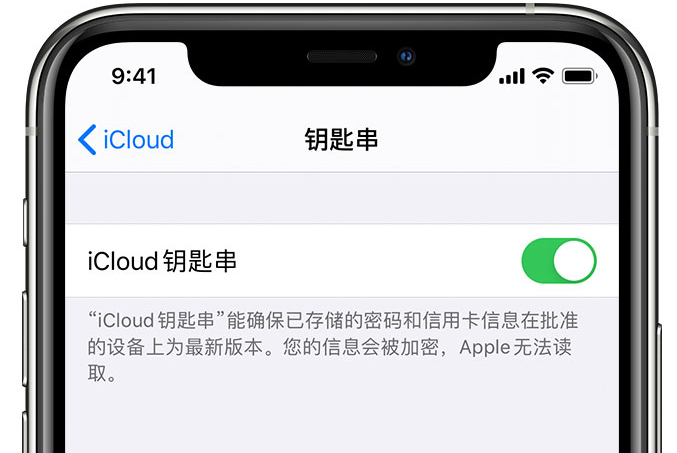 陆川苹果手机维修分享在 iPhone 上开启 iCloud 钥匙串之后会储存哪些信息 